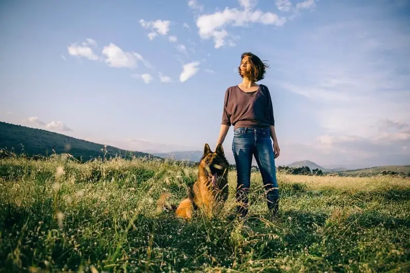 Top loyal dog breeds.
