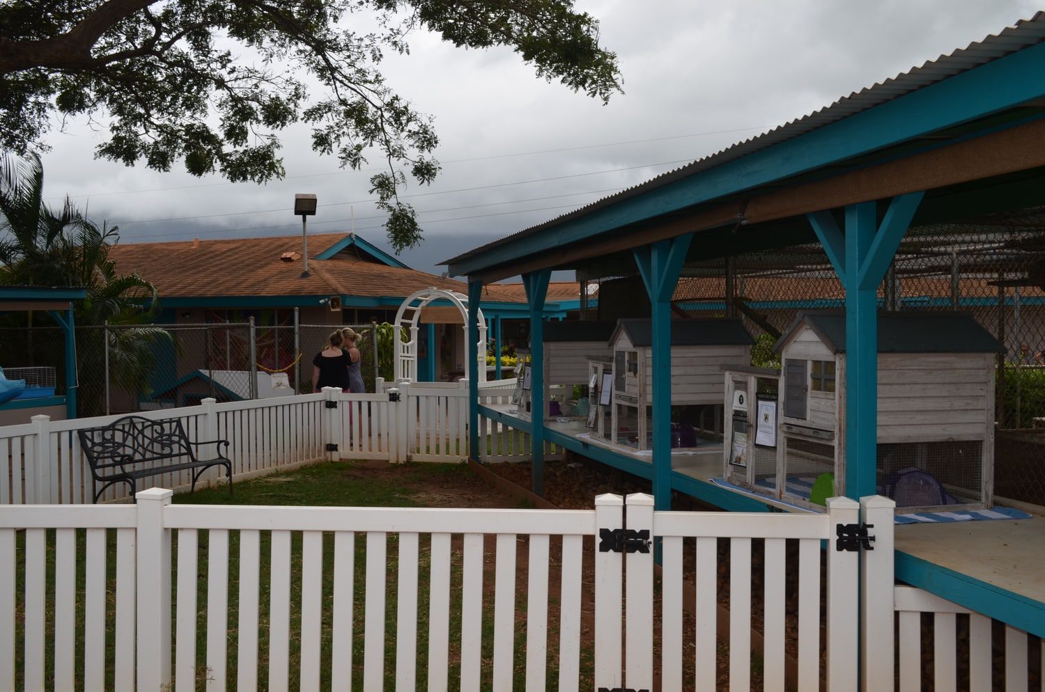 maui-humane-society-lens-and-leash