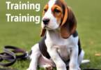 A cute Basset Hound puppy with droopy ears and soulful eyes sitting on grass, surrounded by a leash and treats, representing training and companion...