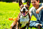 A happy American Staffordshire Terrier sits beside its owner in a sunny backyard, surrounded by green grass and toys, showcasing their bond and tra...